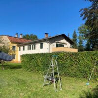 Heckenschnitt